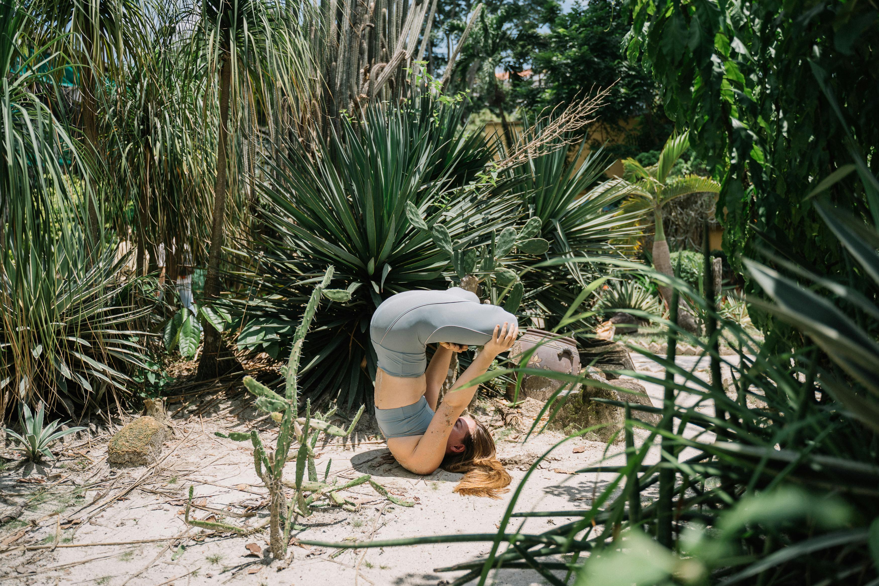 What Plants Do Gophers Hate - PlantopiaHub - Your Ultimate Destination ...