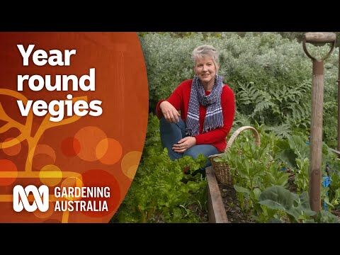 VEGETABLES TO PLANT IN SPRING ADELAIDE visual data 2