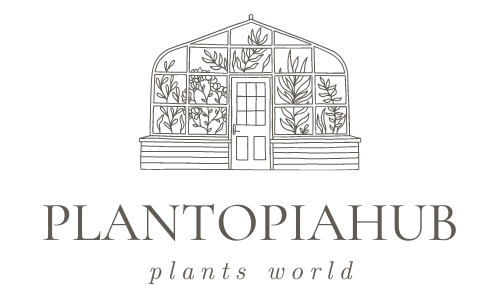 plantopia hub logo